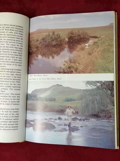 Trout in South Africa