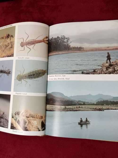 Trout in South Africa