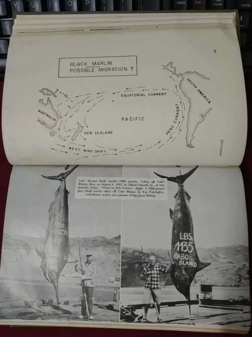 The Sea Angler