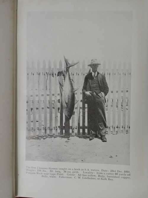 Sea-Angling Fishes of the Cape