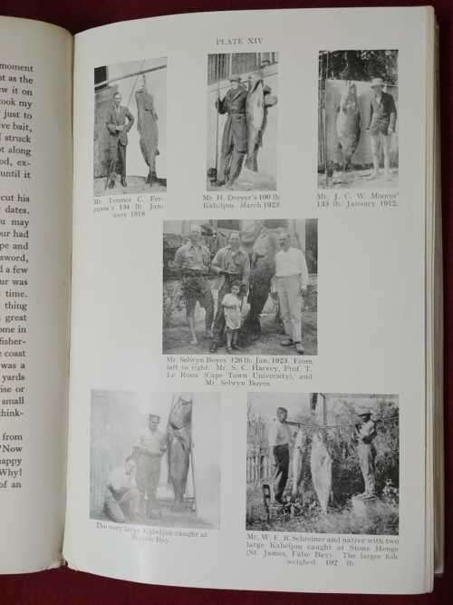 Sea-Angling Fishes of the Cape