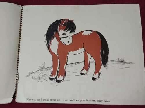 Watch the Pony Grow!