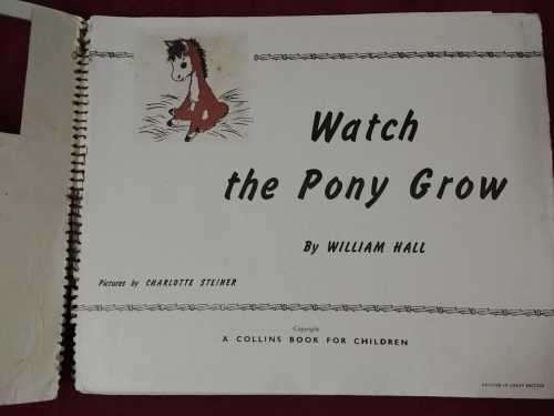 Watch the Pony Grow!