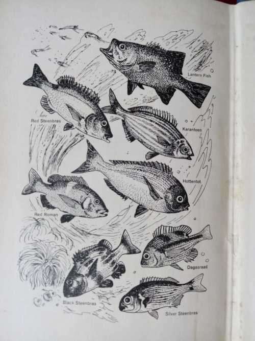Salt-water Fish and Fishing in Southern Africa (signed copy)