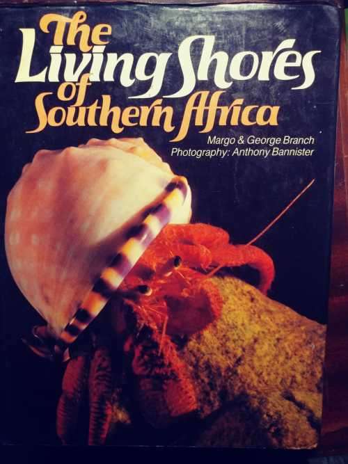 The Living Shores of Southern Africa