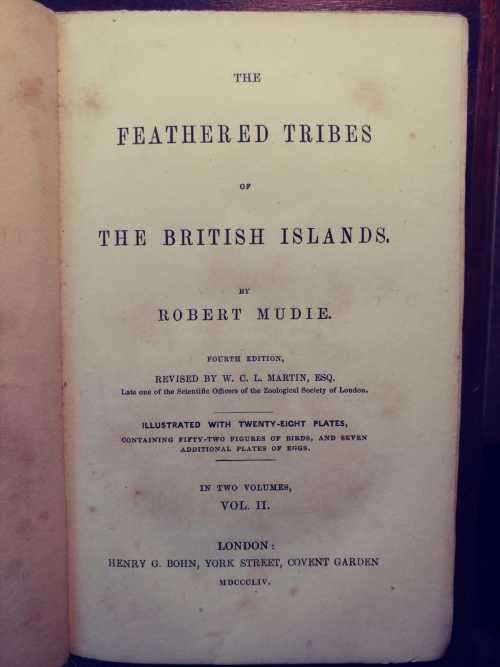 The Feathered Tribes of the British Islands - Robert Mudie
