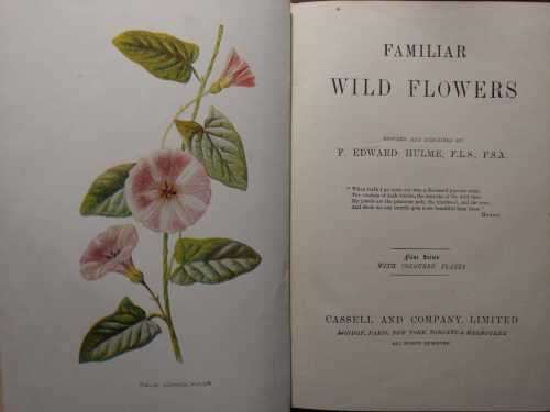 Familiar Wild Flowers - F. Edward Hulme