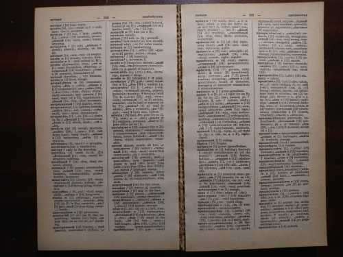Russian English Dictionary - Romanov`s
