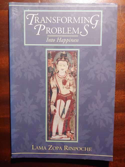 Transforming Problems Into Happiness (Buddhism)