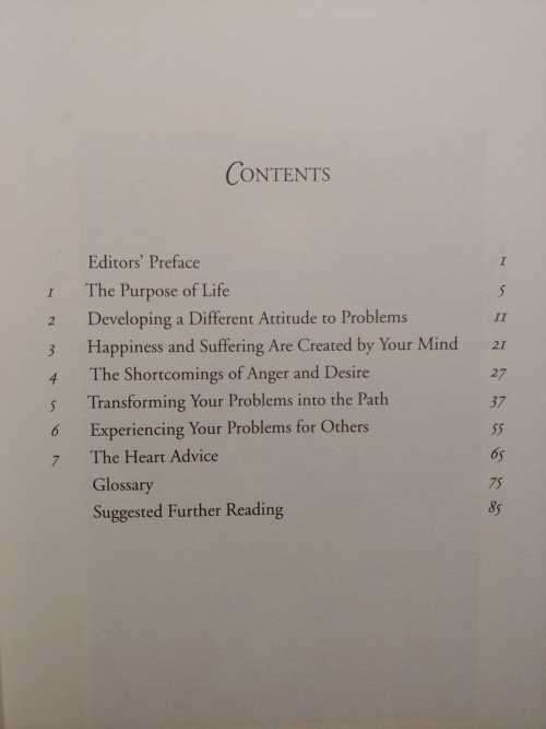 Transforming Problems Into Happiness (Buddhism)
