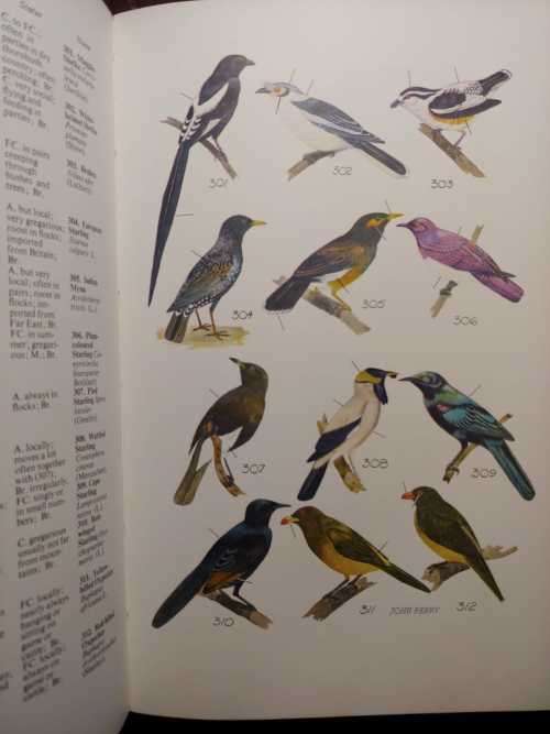 The Birds Around Us - G. W. Broekhuysen