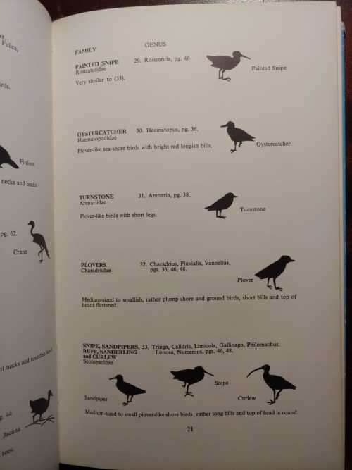 The Birds Around Us - G. W. Broekhuysen