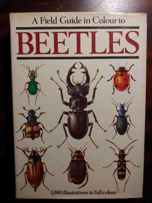 Beetles - A Field Guide in Colour