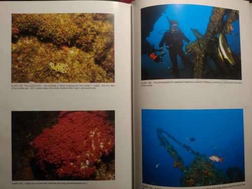 Aliwal Shoal - Photographic Study