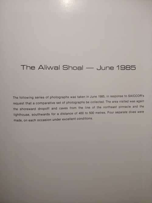 Aliwal Shoal - Photographic Study