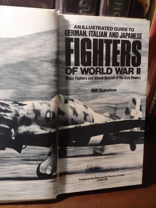 Fighters of World War Two - German, Italian and Japanese