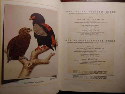 Our South African Birds - Ons Suid-Afrikaanse Voels
