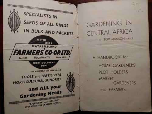 Gardening In Central Africa