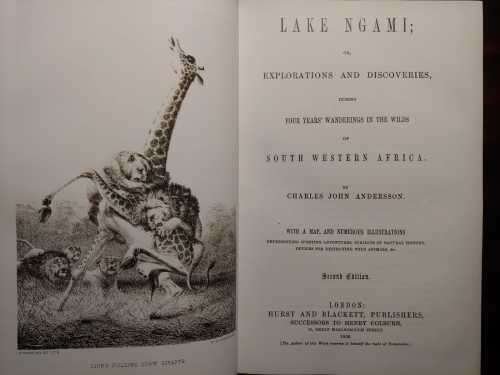 Lake Ngami - Charles John Andersson