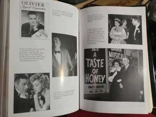 Olivier - by Terry Coleman