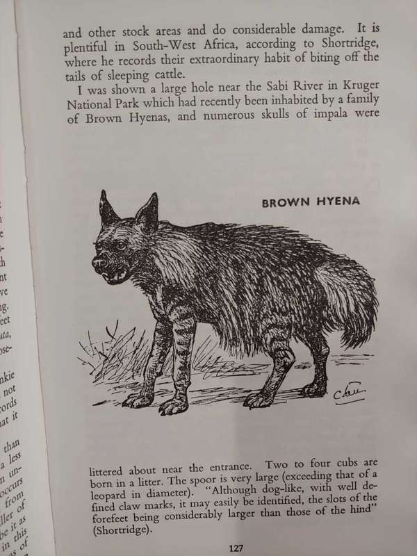 Animals Of Rhodesia