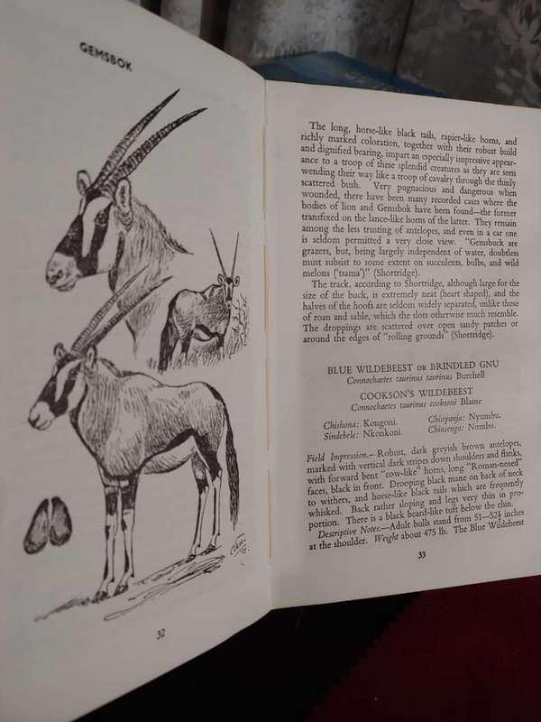 Animals Of Rhodesia