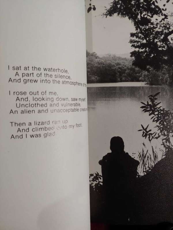 Reflections on Wilderness - Don Richards & Ken Shuter