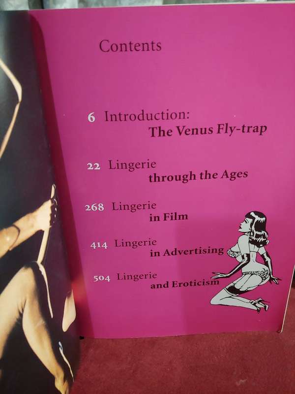 1000 Dessous - A History of Lingerie