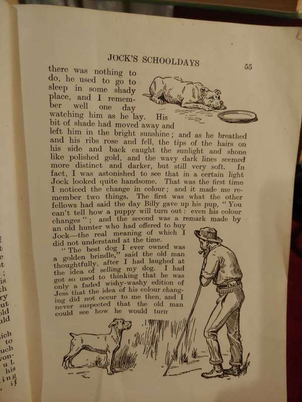 Jock of the Bushveld - 1920 School Edition