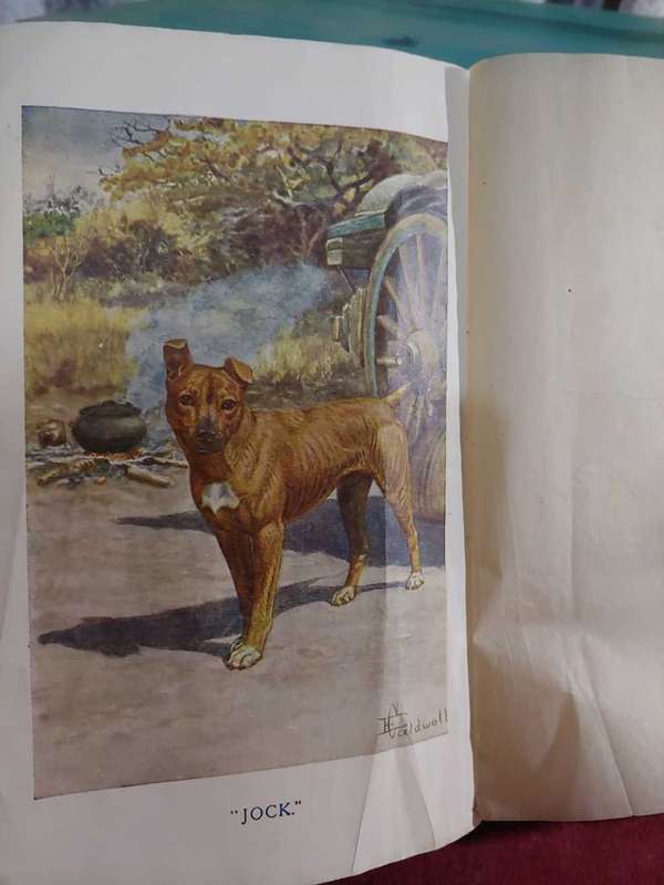Jock of the Bushveld - 1920 School Edition