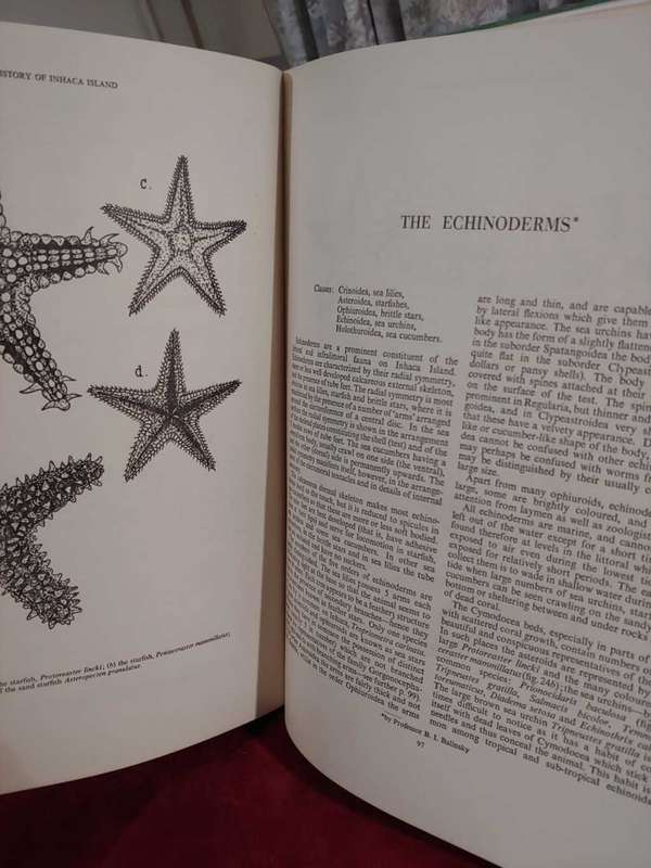 A Natural History of Inhaca Island, Mocambique
