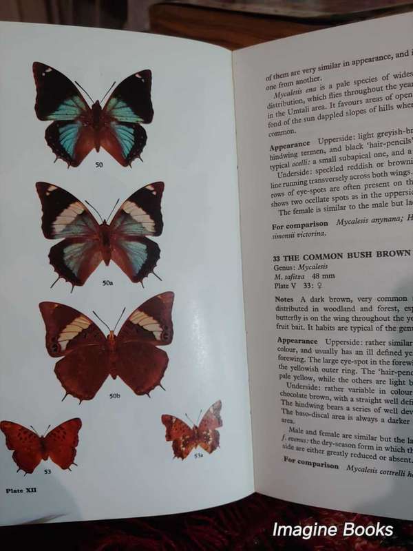 Butterflies of Rhodesia