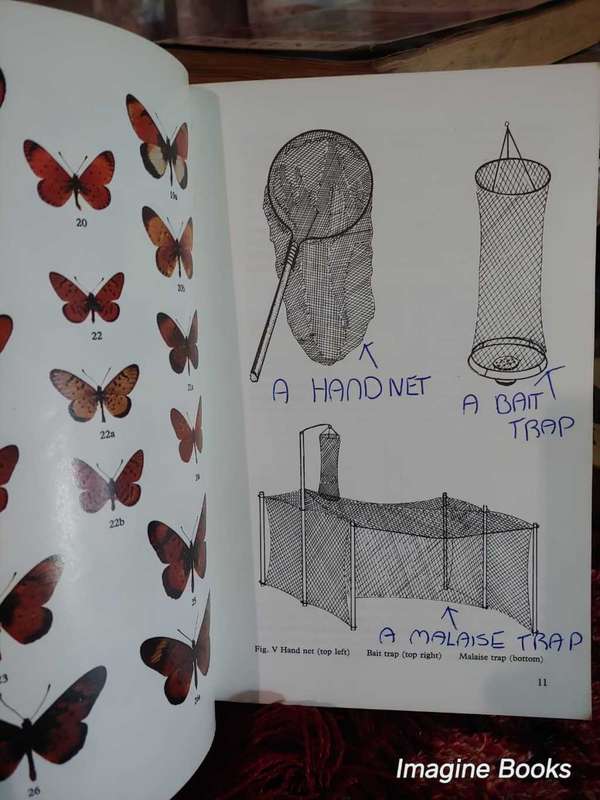 Butterflies of Rhodesia - Bundu Series