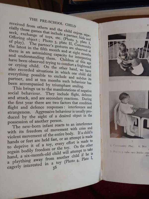 From Birth To Maturity - Charlotte Buhler