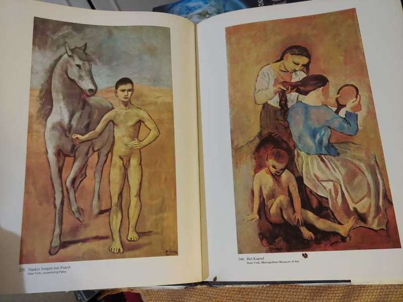 Picasso - Meesters der Schilderkunst