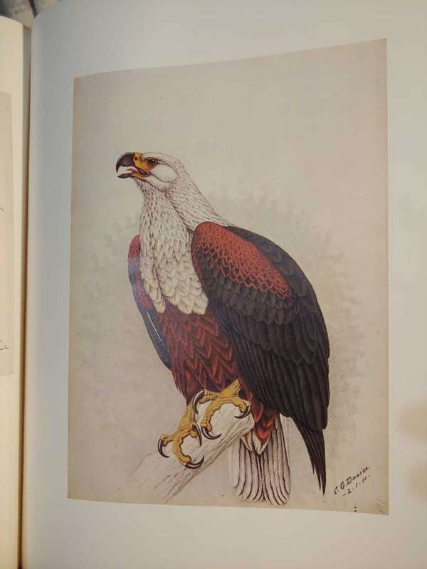 Claude Gibney Finch-Davies 1875-1920 - The Biography of