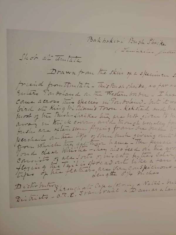 Claude Gibney Finch-Davies 1875-1920 - The Biography of