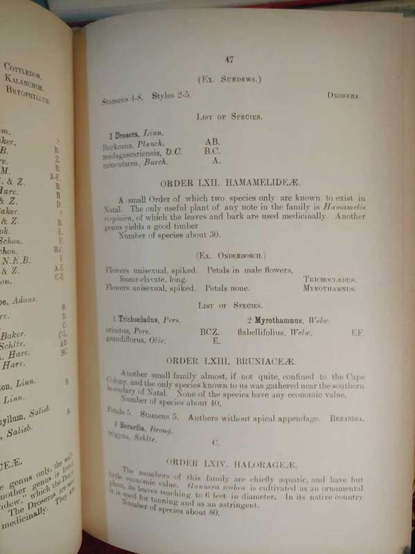 Hand-book to the Flora of Natal