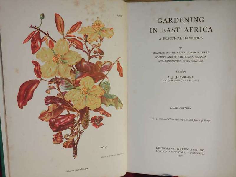 Gardening In East Africa