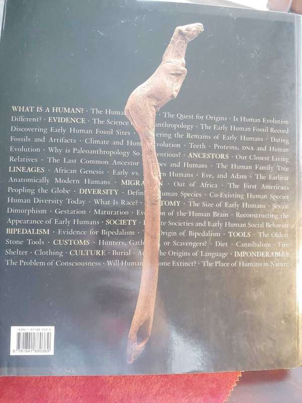From Lucy To Language - Anthropology