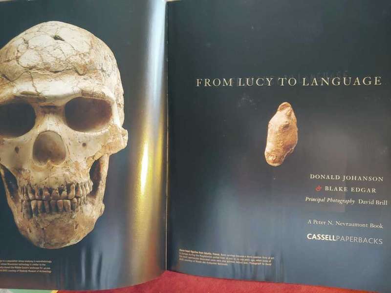 From Lucy To Language - Anthropology