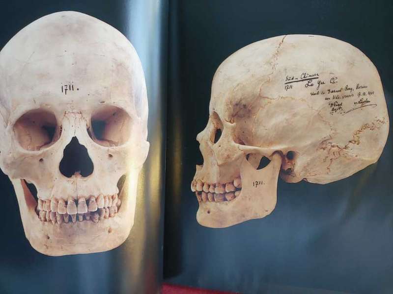 From Lucy To Language - Anthropology