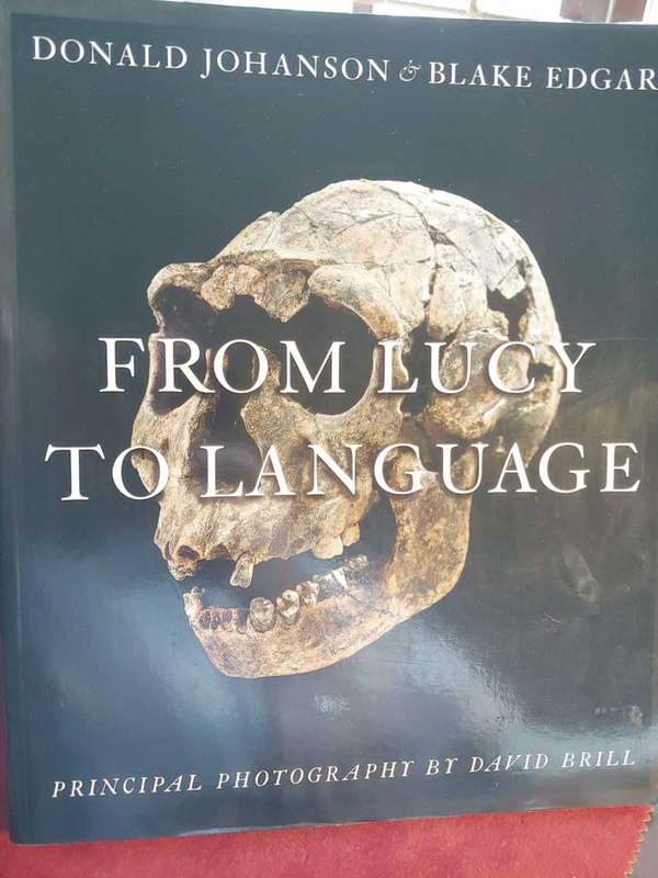 From Lucy To Language - Anthropology