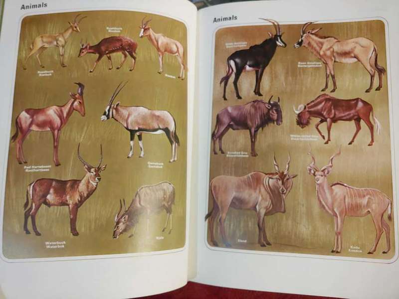 Road Atlas And Touring Guide of Southern Africa - AA