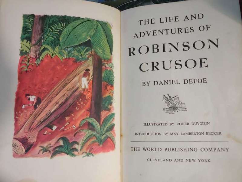 Robinson Crusoe - Life and Adventures