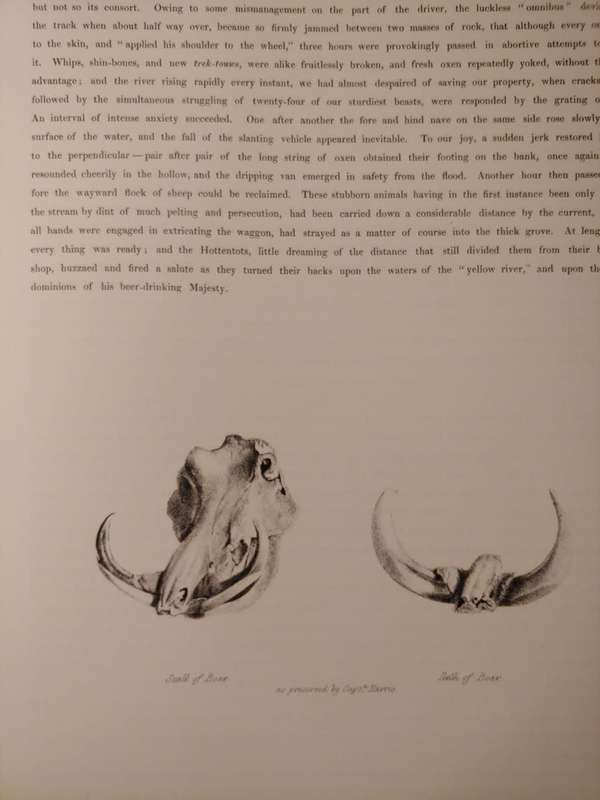 Portraits of the Game and Wild Animals of Southern Africa - Cornwallis Harris