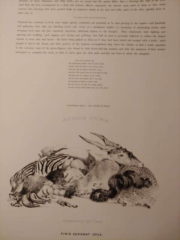 Portraits of the Game and Wild Animals of Southern Africa - Cornwallis Harris