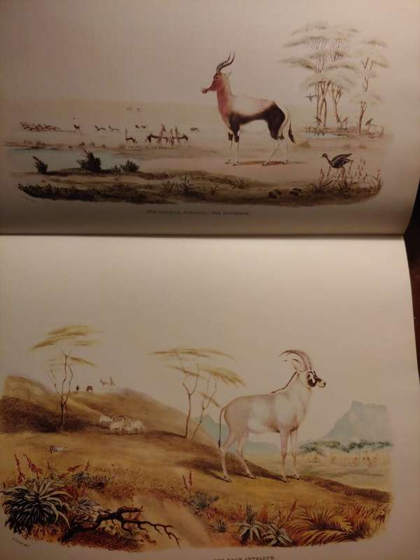 Portraits of the Game and Wild Animals of Southern Africa - Cornwallis Harris