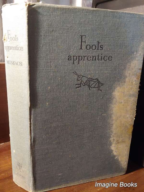 The Fool`s Apprentice - Martin Munkaczi