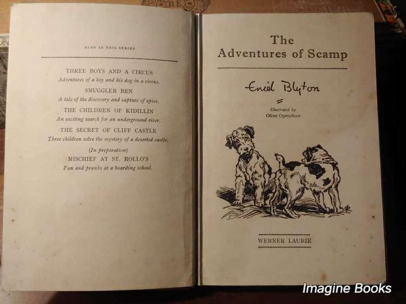 The Adventures of Scamp - Enid Blyton